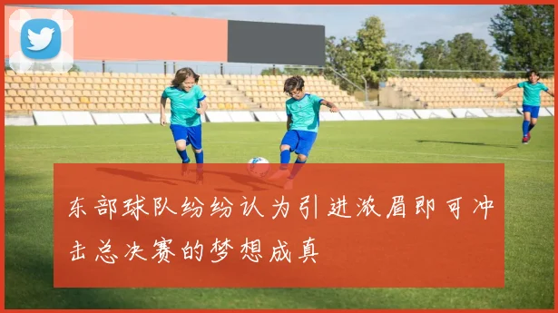 东部球队纷纷认为引进浓眉即可冲击总决赛的梦想成真