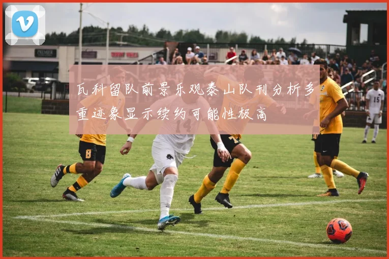 瓦科留队前景乐观泰山队刊分析多重迹象显示续约可能性极高